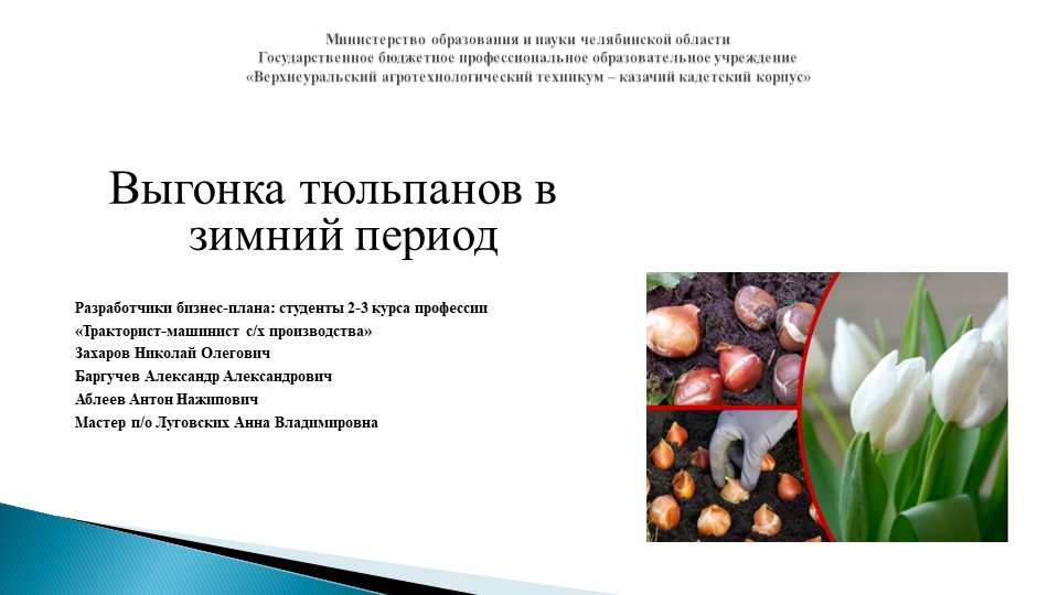 Презентация Бизнес-план "Выгонка тюльпанов в зимний период" Учебники, Презентации и Подготовка к Экзаменам для Школьников на Klass-Uchebnik.com