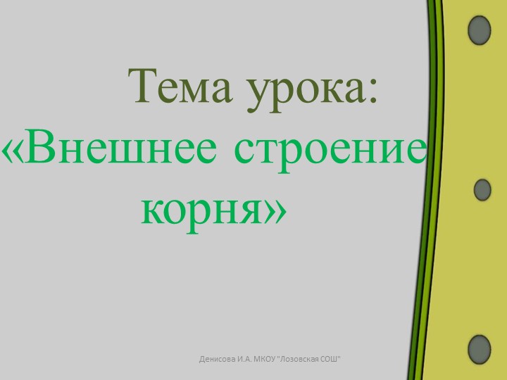 Презентация к уроку биологии на тему "Внешнее строение корня" (6 класс) Учебники, Презентации и Подготовка к Экзаменам для Школьников на Klass-Uchebnik.com
