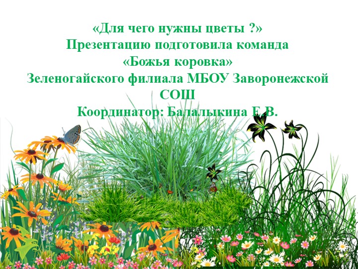 Презентация по окружающему миру "Для чего нужны цветы?" для начальных классов Учебники, Презентации и Подготовка к Экзаменам для Школьников на Klass-Uchebnik.com