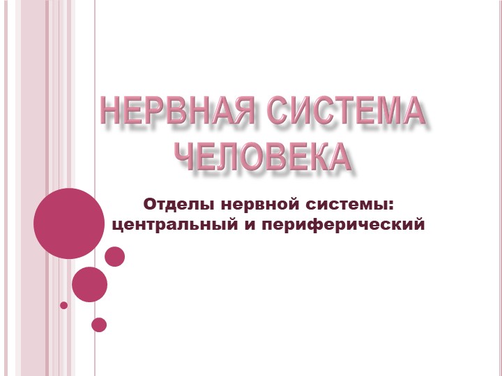 Презентация "Нервная система человека. Отделы нервной системы: Центральный и периферический" Учебники, Презентации и Подготовка к Экзаменам для Школьников на Klass-Uchebnik.com