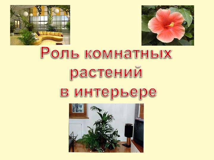 Презентация по технологии на тему «Роль комнатных растений в интерьере. Их влияние на микроклимат в помещении» (6 класс) Учебники, Презентации и Подготовка к Экзаменам для Школьников на Klass-Uchebnik.com