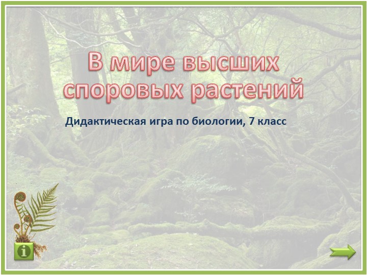 Дидактическая игра "В мире споровых растений" Учебники, Презентации и Подготовка к Экзаменам для Школьников на Klass-Uchebnik.com