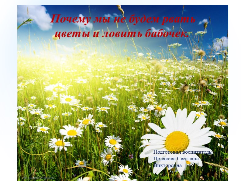 Презентация "Почему мы не будем рвать цветы и ловить бабочек" Цель: Познакомить дошкольников с цветами и бабочками. Воспитывать бережное отношение к природе. Учебники, Презентации и Подготовка к Экзаменам для Школьников на Klass-Uchebnik.com
