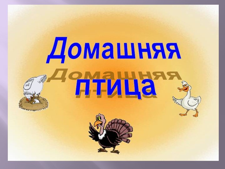 Презентация "Домашние птицы" для занятия с детьми младшего возраста. Цель: Расширение и уточнение знаний детей о домашних птицах . Учебники, Презентации и Подготовка к Экзаменам для Школьников на Klass-Uchebnik.com