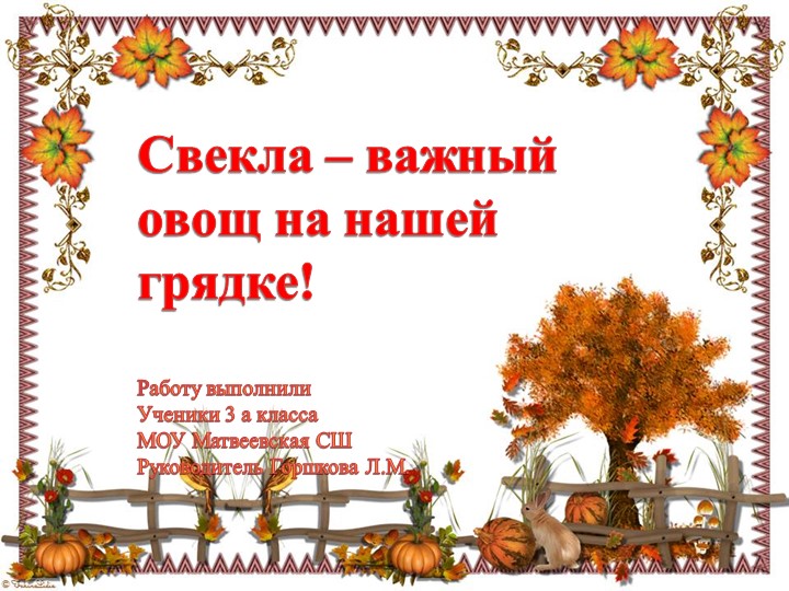 Презентация " Свекла - важный овощ на грядке"к "Празднику урожая" Учебники, Презентации и Подготовка к Экзаменам для Школьников на Klass-Uchebnik.com