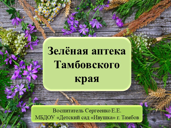 Презентация "Зелёная аптека Тамбовского края" Учебники, Презентации и Подготовка к Экзаменам для Школьников на Klass-Uchebnik.com