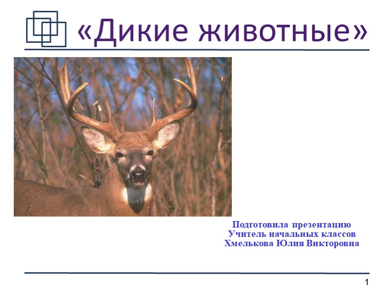 Презентация по миру природы и человека по теме: "Дикие животные". Учебники, Презентации и Подготовка к Экзаменам для Школьников на Klass-Uchebnik.com
