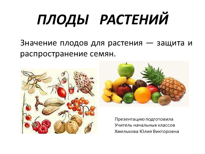 Презентация по миру природы и человека по теме: "Плоды растений". Учебники, Презентации и Подготовка к Экзаменам для Школьников на Klass-Uchebnik.com