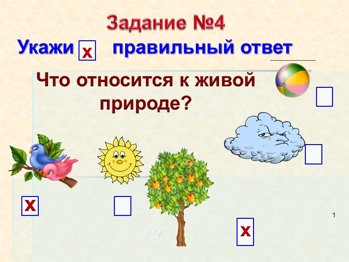Презентация по миру природы и человека по теме: "Строение и сходство растений". Учебники, Презентации и Подготовка к Экзаменам для Школьников на Klass-Uchebnik.com