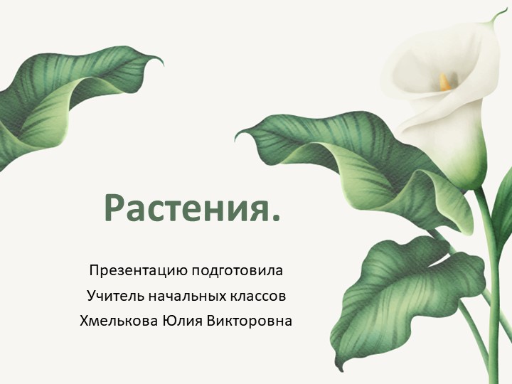 Презентация по миру природы и человека по теме: "Растения". Учебники, Презентации и Подготовка к Экзаменам для Школьников на Klass-Uchebnik.com