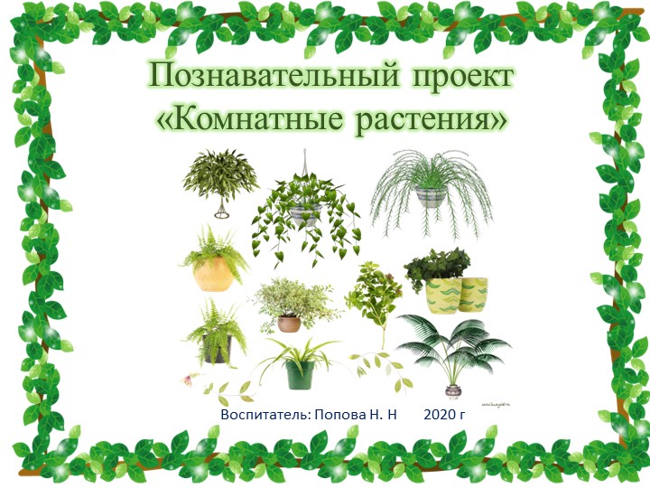 Познавательный проект "Комнатные растения" 2020 г Учебники, Презентации и Подготовка к Экзаменам для Школьников на Klass-Uchebnik.com