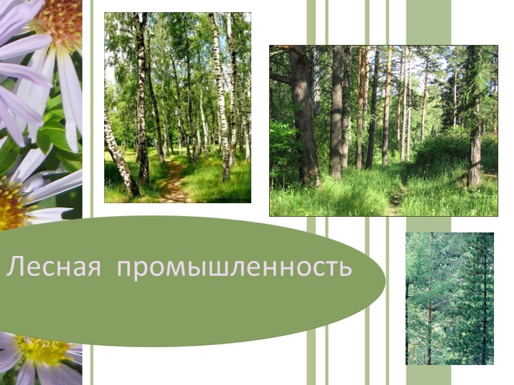 Презентация по географии "Лесная промышленность" Учебники, Презентации и Подготовка к Экзаменам для Школьников на Klass-Uchebnik.com