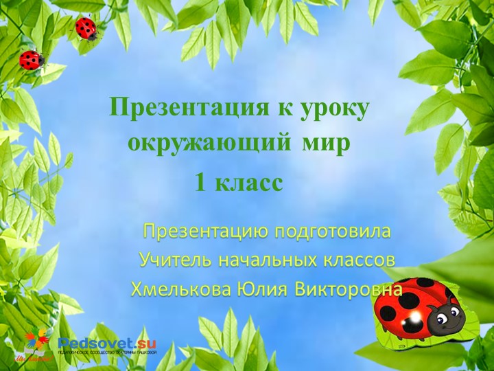 Презентация по миру природы и человека на тему: "Занятия весной" Учебники, Презентации и Подготовка к Экзаменам для Школьников на Klass-Uchebnik.com