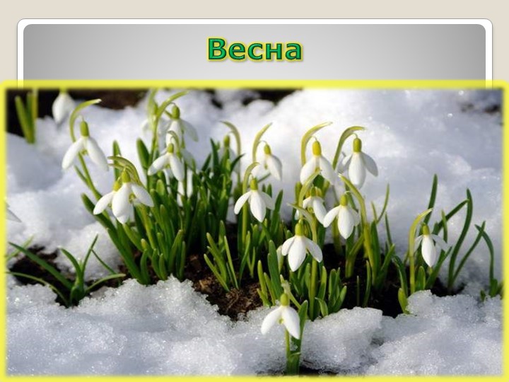 Презентация по миру природы и человека на тему: "Весна". Учебники, Презентации и Подготовка к Экзаменам для Школьников на Klass-Uchebnik.com