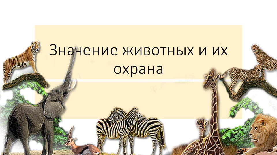 Презентация по биологии "Значение животных и их охрана" Учебники, Презентации и Подготовка к Экзаменам для Школьников на Klass-Uchebnik.com