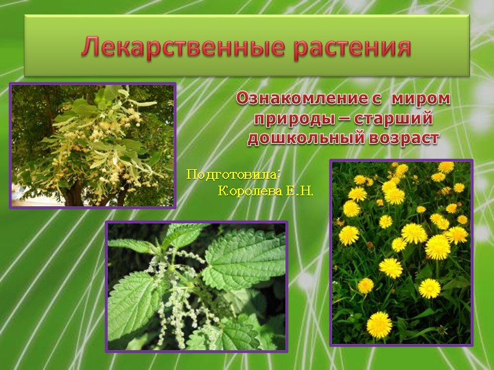 Презентация ознакомление с миром природы "Лекарственные растения" Учебники, Презентации и Подготовка к Экзаменам для Школьников на Klass-Uchebnik.com