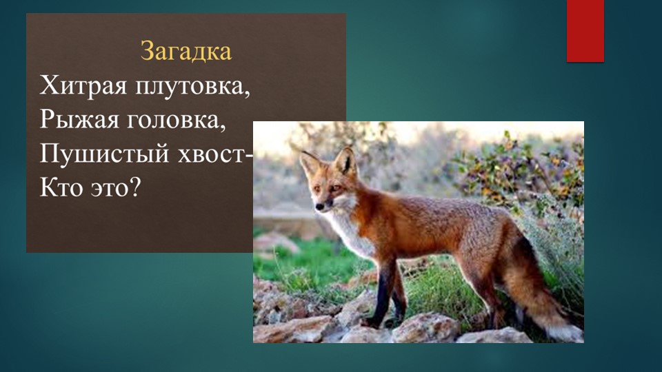 Презентация по изо "Животное - лиса" Учебники, Презентации и Подготовка к Экзаменам для Школьников на Klass-Uchebnik.com