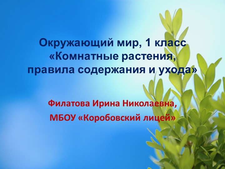 Презентация по окружающему миру на тему "Комнатные растения, правила содержания и ухода" (1 класс) Учебники, Презентации и Подготовка к Экзаменам для Школьников на Klass-Uchebnik.com