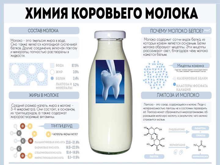 Презентация:" Молоко.Полезный ли это продукт?" Учебники, Презентации и Подготовка к Экзаменам для Школьников на Klass-Uchebnik.com