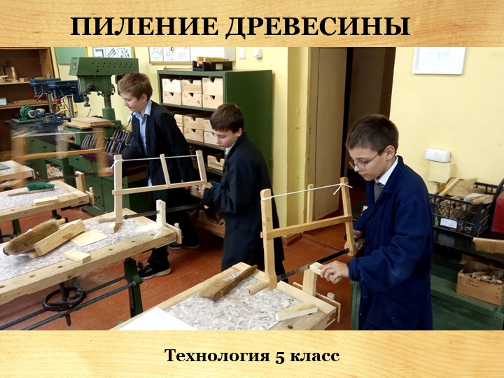 Презентация по технологии "Пиление древесины" 5 класс Учебники, Презентации и Подготовка к Экзаменам для Школьников на Klass-Uchebnik.com