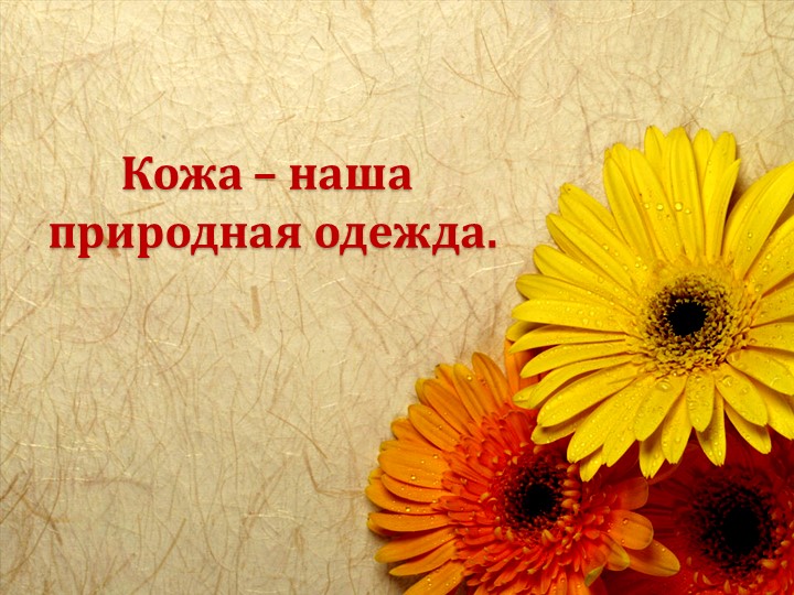 Презентация по миру природы и человека по теме: "Кожа" Учебники, Презентации и Подготовка к Экзаменам для Школьников на Klass-Uchebnik.com
