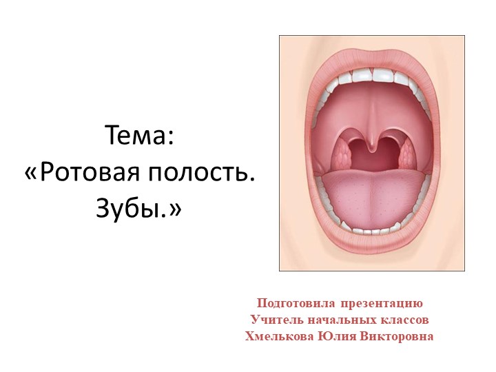 Презентация по миру природы и человека по теме: "Рот". Учебники, Презентации и Подготовка к Экзаменам для Школьников на Klass-Uchebnik.com