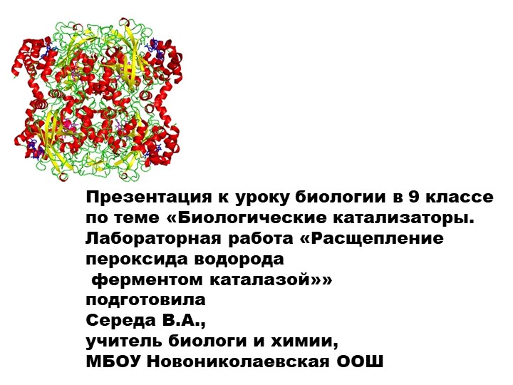 Презентация по биологии на тему "Биологические катализаторы. Лабораторная работа "Расщепление пероксида водорода ферментом каталазой" (9 класс) Учебники, Презентации и Подготовка к Экзаменам для Школьников на Klass-Uchebnik.com