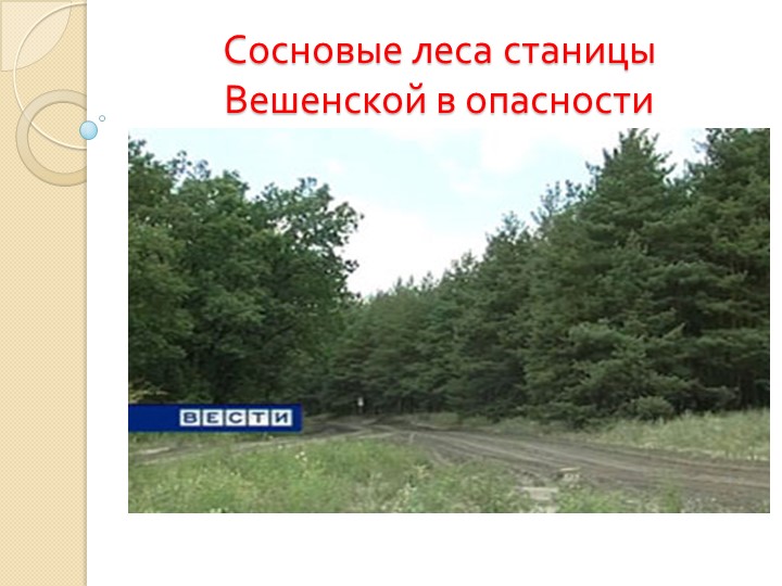 Презентация по экологии"Сосновые леса станицы Вешенской в опасности" Учебники, Презентации и Подготовка к Экзаменам для Школьников на Klass-Uchebnik.com