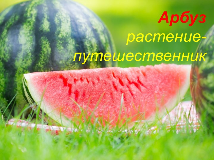 Презентация на тему "Арбузник" Учебники, Презентации и Подготовка к Экзаменам для Школьников на Klass-Uchebnik.com