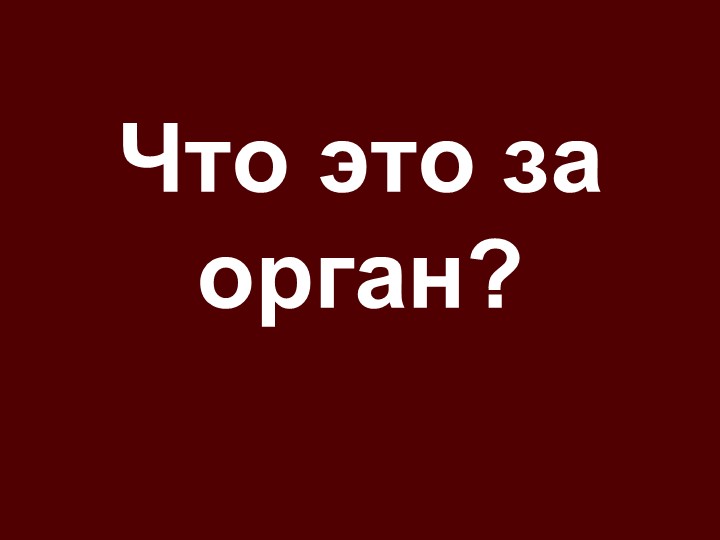 "Строение и функции кожи" Учебники, Презентации и Подготовка к Экзаменам для Школьников на Klass-Uchebnik.com