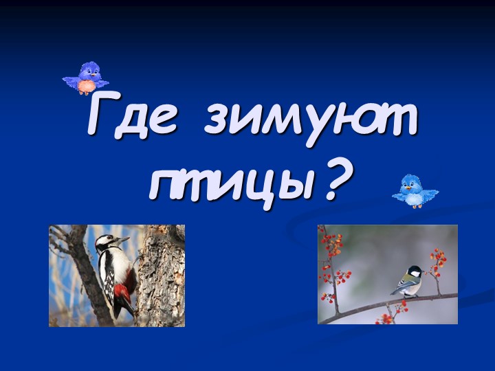 "Где зимуют птицы" презентация к уроку окружающего мира" Учебники, Презентации и Подготовка к Экзаменам для Школьников на Klass-Uchebnik.com