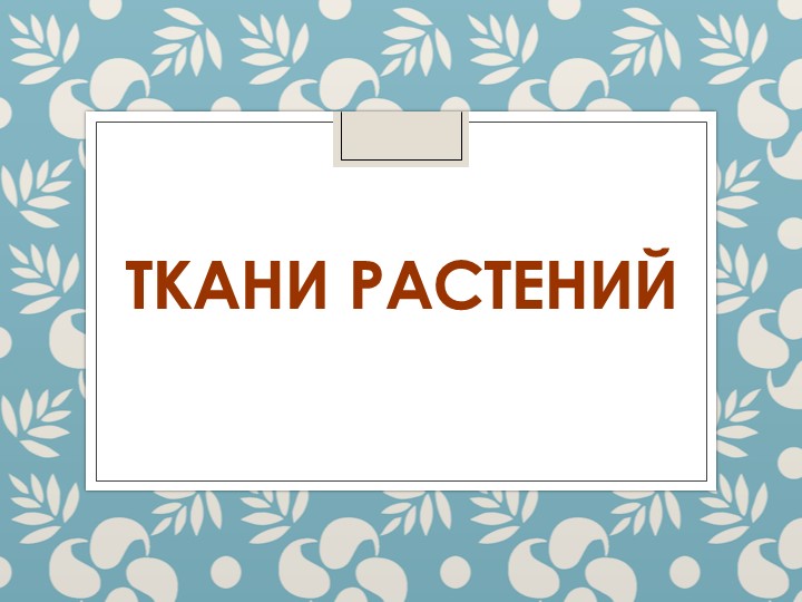 Презентация по биологии "Ткани растений" 6 класс Учебники, Презентации и Подготовка к Экзаменам для Школьников на Klass-Uchebnik.com