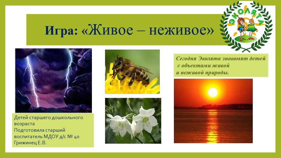 Игра для старших дошкольников для закрепления понятия "живая природа", "неживая природа". В этом им помогут Эколята-дошколята-защитники природы. Учебники, Презентации и Подготовка к Экзаменам для Школьников на Klass-Uchebnik.com