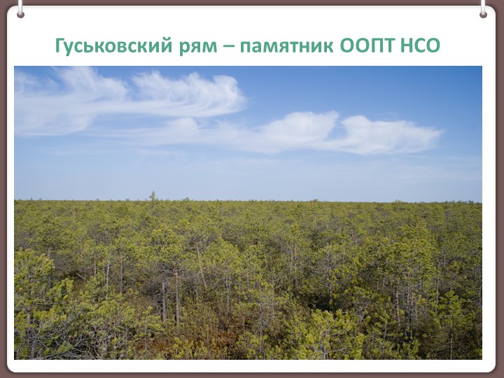 Презентация к занятию по экологии на тему "Гуськовский рям"(6 класс) Учебники, Презентации и Подготовка к Экзаменам для Школьников на Klass-Uchebnik.com