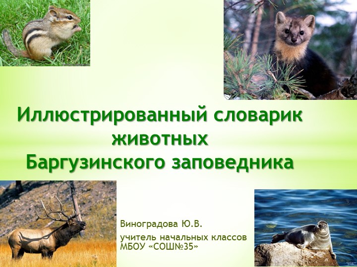 Иллюстрированный словарик животных Баргузинского заповедника Учебники, Презентации и Подготовка к Экзаменам для Школьников на Klass-Uchebnik.com