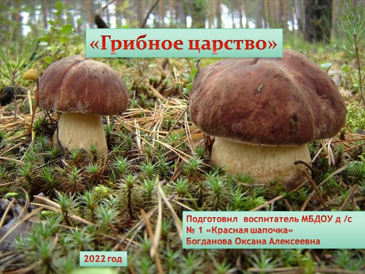 Презентация для подготовителной группы " Грибное царство" Учебники, Презентации и Подготовка к Экзаменам для Школьников на Klass-Uchebnik.com