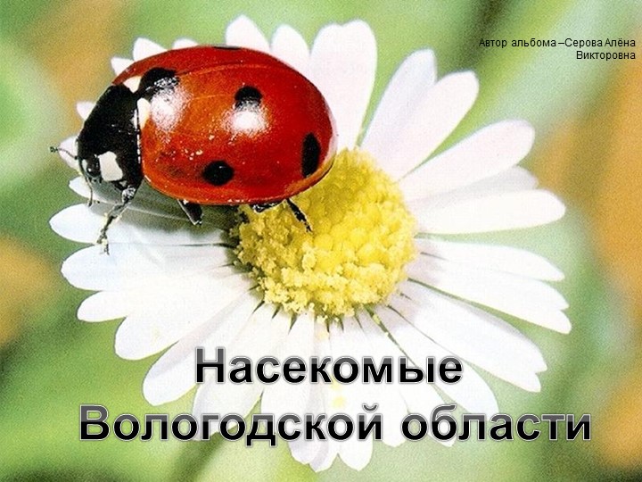 Презентация на тему "Насекомые Вологодской области" Учебники, Презентации и Подготовка к Экзаменам для Школьников на Klass-Uchebnik.com