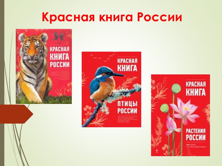 "Красная книга. Окружающий мир, 4 класс" Учебники, Презентации и Подготовка к Экзаменам для Школьников на Klass-Uchebnik.com