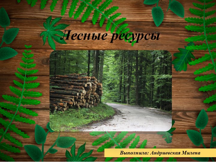 Презентация на тему " Лесные ресурсы" ( 10 класс) Учебники, Презентации и Подготовка к Экзаменам для Школьников на Klass-Uchebnik.com