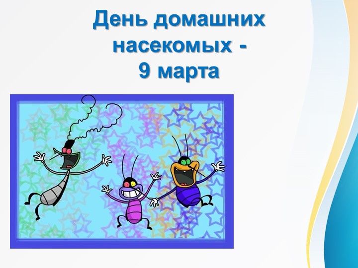 Презентация на тему "Домашние насекомые" (2-3 класс) Учебники, Презентации и Подготовка к Экзаменам для Школьников на Klass-Uchebnik.com