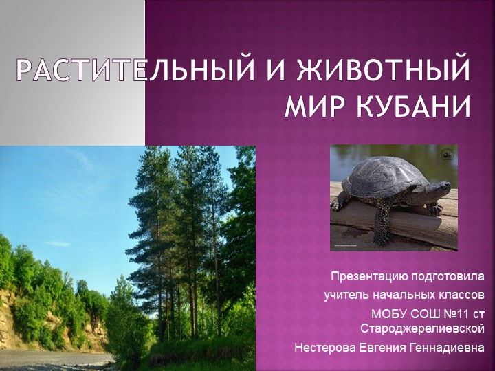 Презентация "Растительный и животный мир Кубани" Учебники, Презентации и Подготовка к Экзаменам для Школьников на Klass-Uchebnik.com