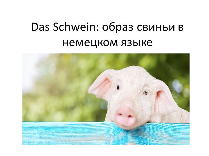 Презентация по немецкому языку на тему "Животные" (7 класс) Учебники, Презентации и Подготовка к Экзаменам для Школьников на Klass-Uchebnik.com