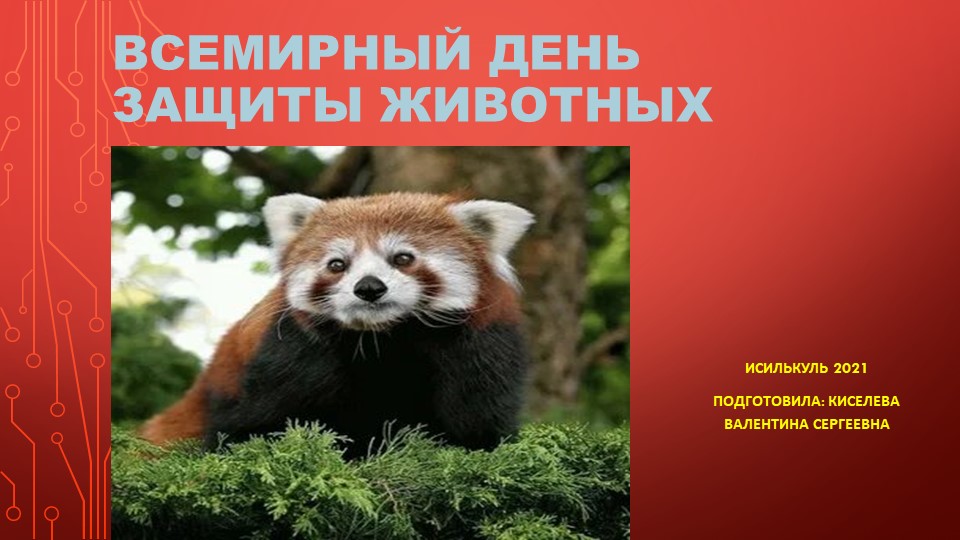 Презентация "Красная книга"для сценария к празднику "В мире животных" дополнительное образование Учебники, Презентации и Подготовка к Экзаменам для Школьников на Klass-Uchebnik.com
