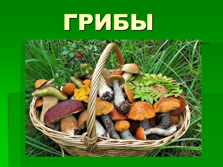 Презентация по окружающему миру на тему "Грибы". Учебники, Презентации и Подготовка к Экзаменам для Школьников на Klass-Uchebnik.com