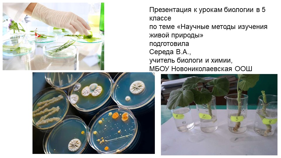 Презентация по биологии на тему "Научные методы изучения живой природы" (5 класс) - Учебники, Презентации и Подготовка к Экзаменам для Школьников на Klass-Uchebnik.com