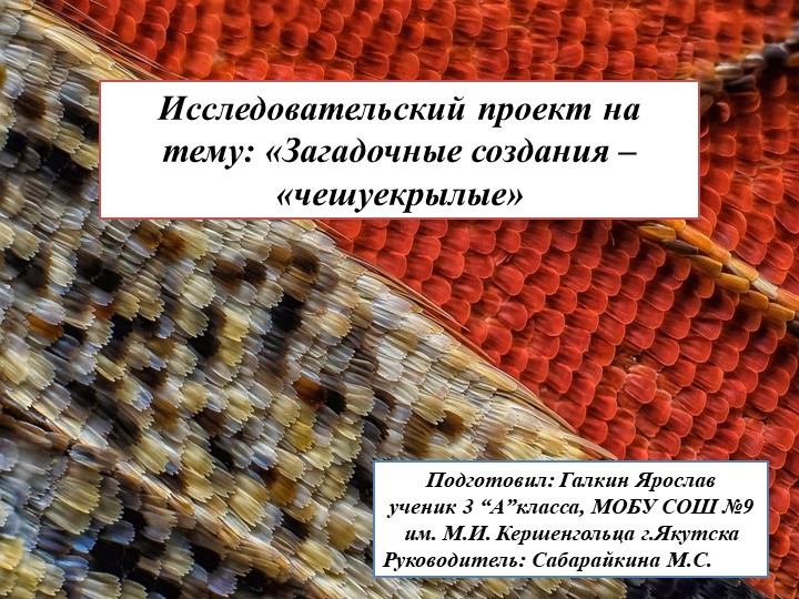 Исследовательский проект "Загадочные создания - чешуекрылые" Учебники, Презентации и Подготовка к Экзаменам для Школьников на Klass-Uchebnik.com