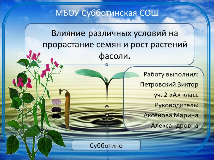 Презентация "Влияние различных условий на прорастание семян и рост растений фасоли." Учебники, Презентации и Подготовка к Экзаменам для Школьников на Klass-Uchebnik.com