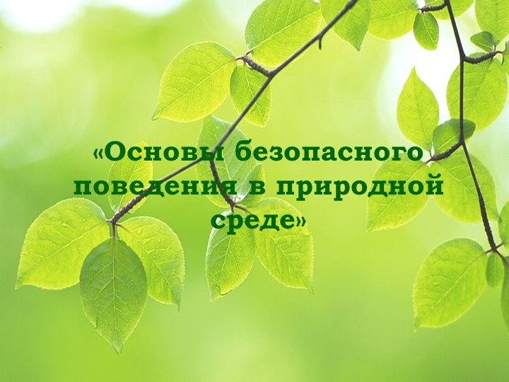 "Что такое экология"Презентация на тему _Основы безопасного поведения в природной среде_ Учебники, Презентации и Подготовка к Экзаменам для Школьников на Klass-Uchebnik.com