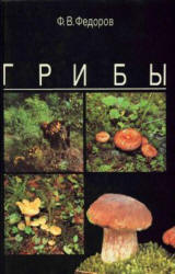 Грибы - Федоров Ф.В. Учебники, Презентации и Подготовка к Экзаменам для Школьников на Klass-Uchebnik.com