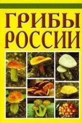 Грибы России - Бескоровайный А. - Учебники, Презентации и Подготовка к Экзаменам для Школьников на Klass-Uchebnik.com